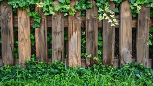 Traditional Fence Images Browse 74
