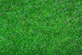 Page 49 Icon Grass Images Free