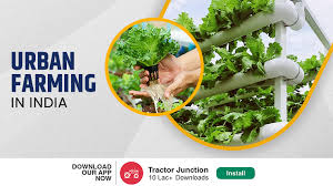 What Is Urban Farming In India Types