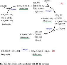Nanocatalysts For Biodiesel Ion