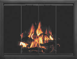 Stoll Stainless Steel Fireplace Door