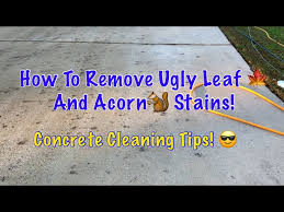 How To Remove Acorn And Leaf Stains
