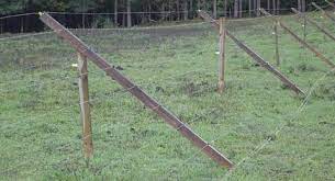 Low Cost Fence Keeps Deer Out Good