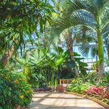 Nicholas Conservatory Gardens