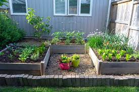 7 Vegetable Garden Layout Ideas To Grow