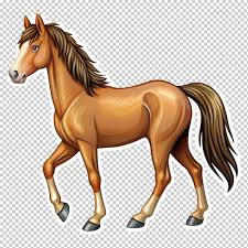 Page 5 Buckskin Horse Color Psd High