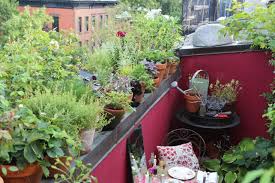 Growing An Urban Balcony Garden