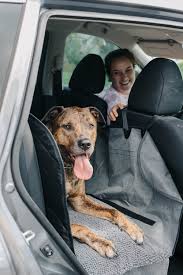 Dgs Pet S Dirty Dog Car Seat