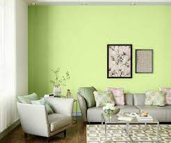 Pista Lime N 9810 House Wall Painting