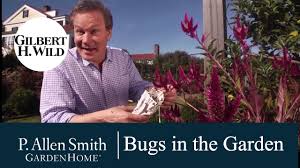 Garden Home Tv Episodes Season 15