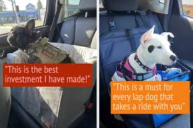 13 Best Dog Car Seats So Fido Can
