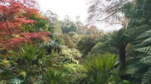 11 Tropical Garden Ideas For The Uk