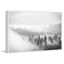 Foggy Scenery By Marmont Hill Floater