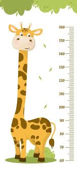 Kids Height Chart Child Height Meter