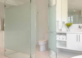 Frosted Glass Shower Enclosure In