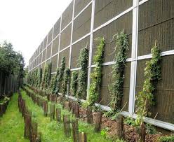 Green Wall Irrigation Systems Access