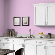 Pink Peony Eggs Interior Paint