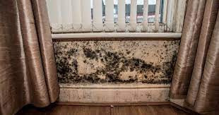 How To Get Rid Of Mould In Your Home