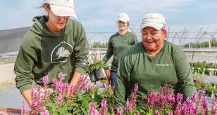 Mulhall S Nursery Garden Center