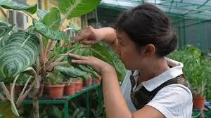 Gardening Australia Series 34