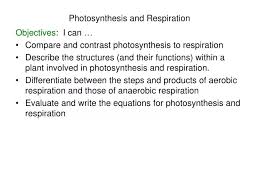 Ppt Photosynthesis And Respiration