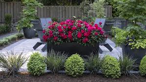 Formal Garden Design