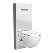 Washdown Toilet With Bidet Function
