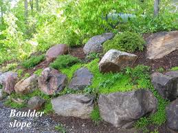 Boulders Can Stabilize A Slope Well