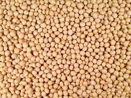 organic soybeans grain place foods