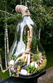 Mini Garden In A Pear Shaped Glass Vase