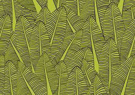 Banana Leaf Seamless Pattern Vector