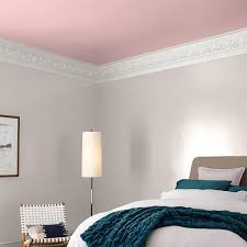 Coy Pink Ceiling Flat Interior Paint