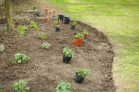 Plant Quantity For Planting Beds
