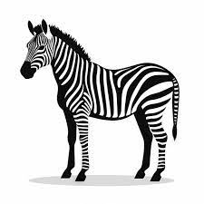 Full Zebra Icon Line Art Simple
