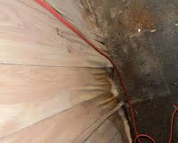 Mold In Basement What Would You Do