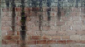 How To Get Dog Smell Out Of Brick
