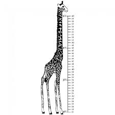 Giraffe Height Chart Growth Chart Wall