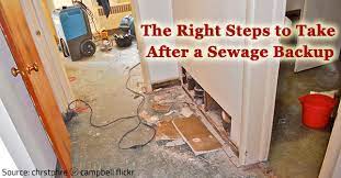 How To Clean Up Sewage Backup