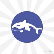 Whale Icon Isolated On White