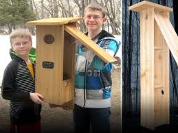 Nestbox Builder A Site Dedicated To