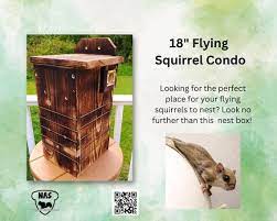 Northern Flying Squirrel Nest Box