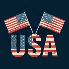 United States Of America Flag Icon