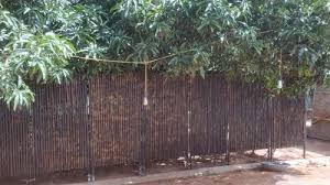 Bamboo Fence Bamboo Garden Fence