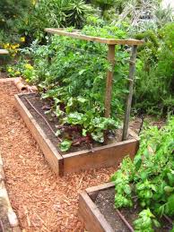 Vegetable Garden Ideas Landscaping