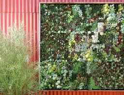 Vertical Garden Art At Ballard Fl