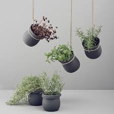 Indoor Garden Idea Hang Your Plants