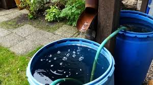 Rain Barrel Stock Footage