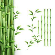 Bamboo Icon Vector Images Over 23 000