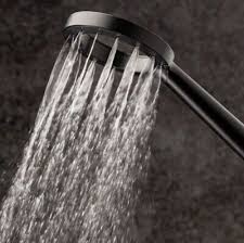 Glacier Bay Ring Handheld Showerhead