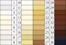 File Felix Von Luschan Skin Color Chart